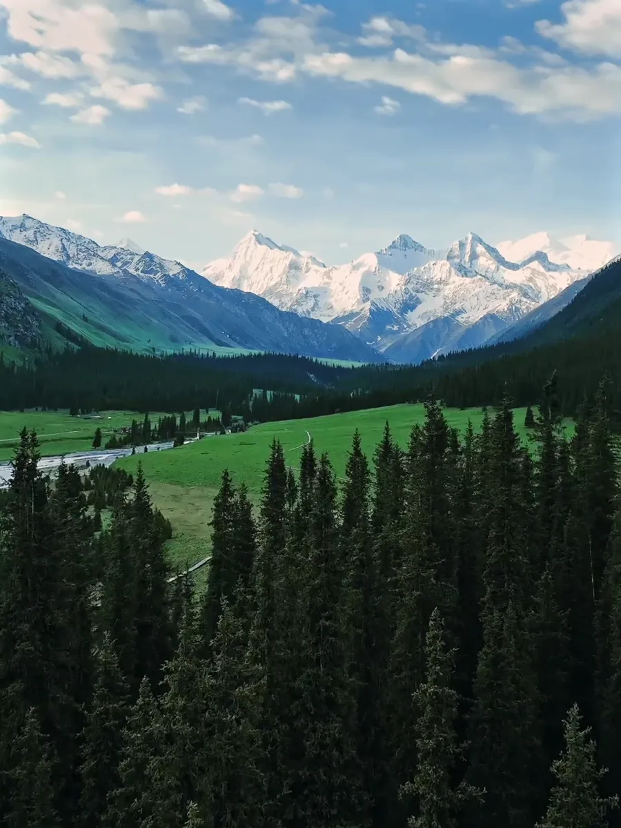 雪山、森林与草地组成的旅拍风景